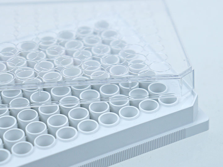 ������Ǯlzyq88(�й�)���޹�˾