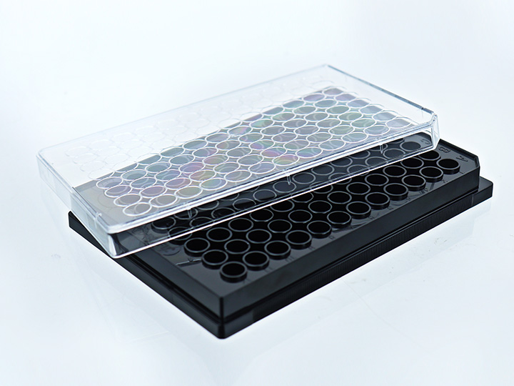 ������Ǯlzyq88(�й�)���޹�˾