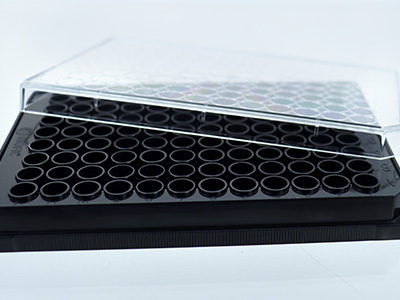 �ױ�͹�� ���������������ɱ���������֯��Ⱦ