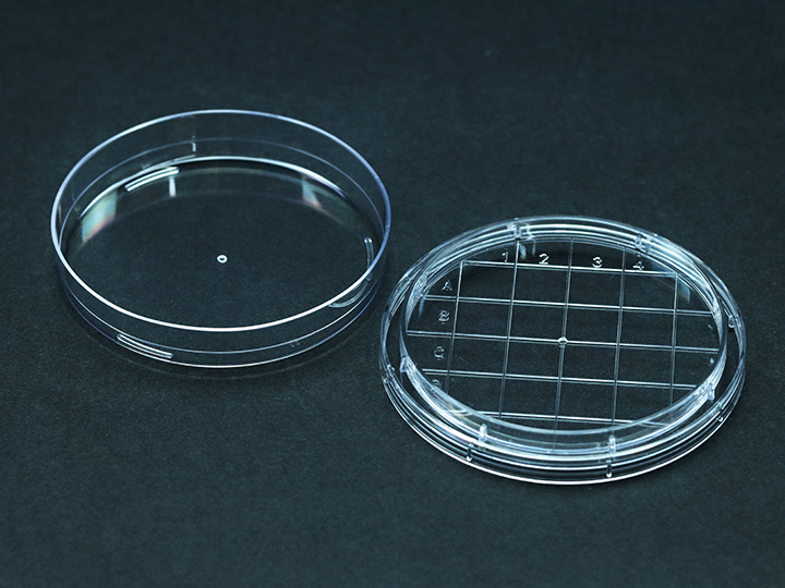 ������Ǯlzyq88(�й�)���޹�˾