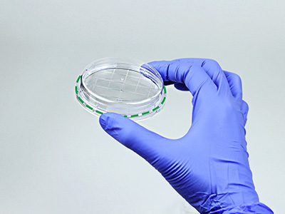 ���̧������س���������������� ������ȡ����������������ȹ̵��Ų��׵�