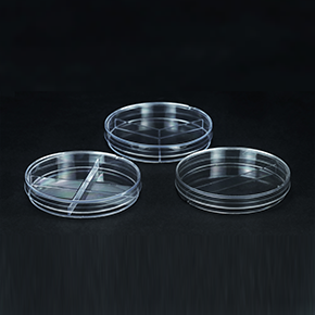 ����������,ϸ��������,ƽ��