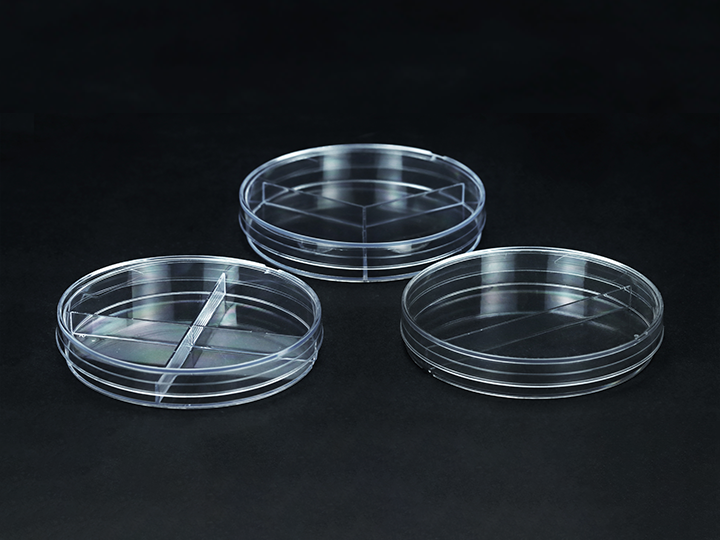 ������Ǯlzyq88(�й�)���޹�˾