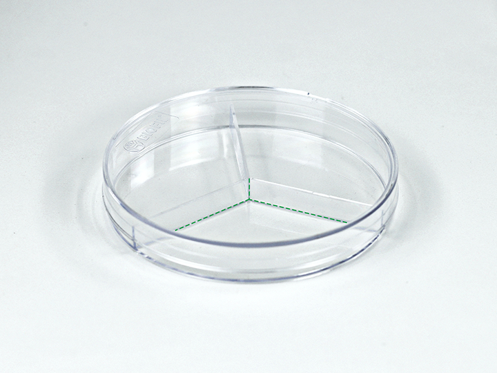 ������Ǯlzyq88(�й�)���޹�˾