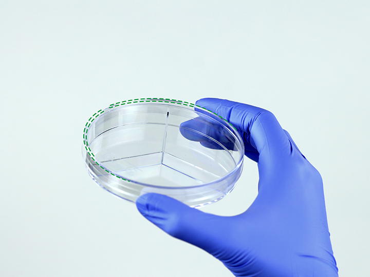 ������Ǯlzyq88(�й�)���޹�˾