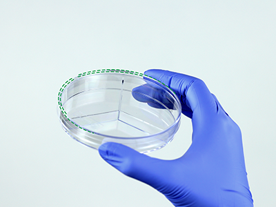 ��Ǳ���ͻ��������������������������������ȹ̵���