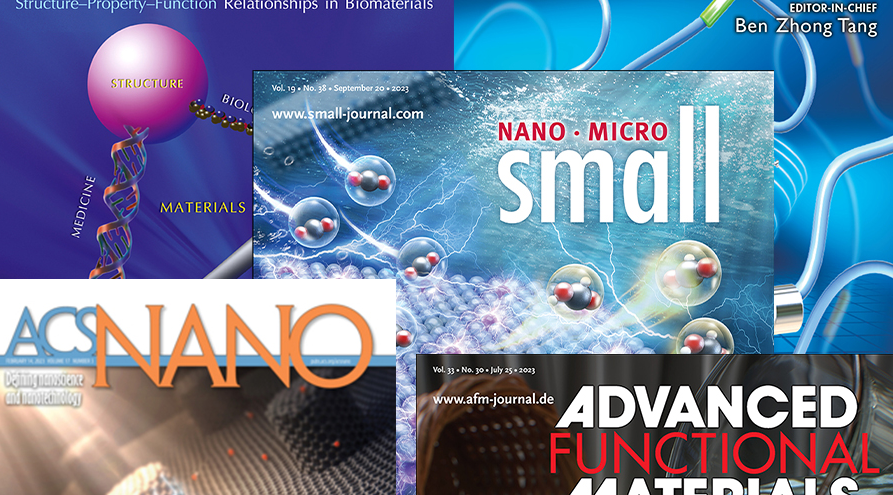 2026�����������˶���Ϯ������������������������Ϊ��Ŀ����򵥣�